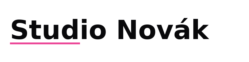Studio Novák logo